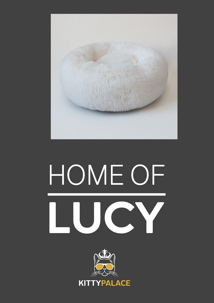 Pet bed with customized pet carpet Material : cloth Specifications : diameter size 50cm, 60cm, 70cm Carpet Size: 40x60cm Clolor : dark grey Pet bed with customized pet carpet Material : cloth Specifications : diameter size 50cm, 60cm, 70cm Carpet Size: 40