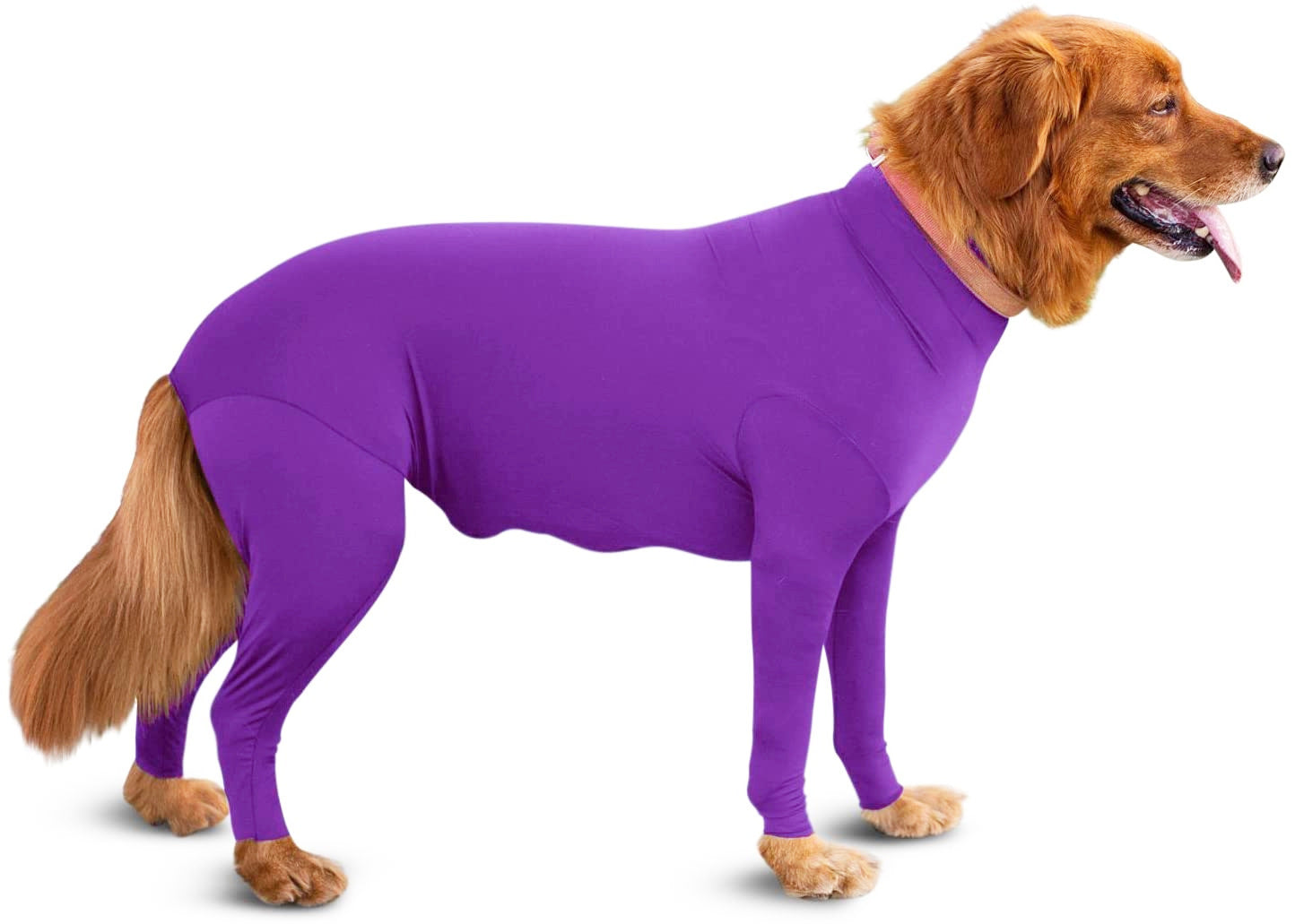 Zhongda Dog Manufacturer'S All Inclusive Four Legged Autumn And Winter New Dog Clothing Four Legged Clothing Pet Clothing Cat Elastic Product information: colour : Four leg elastic sexy clothes are pure red, four leg elastic sexy clothes are purple, four