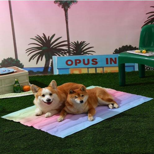 Ice Pad Dog Cool Feeling Ice Mat Gel Ice Kennel Waterproof Product information: Color: square ice pad, round ice pad, small dinosaur, color gradient, Persimmon and Persimmon smooth, gradient round ice pad, Rainbow square ice pad, Rainbow Round ice pad, ra