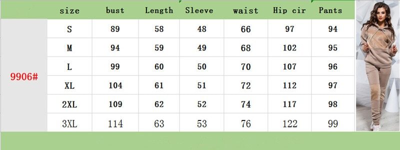 Women's Sets Warm clothes in winter plus sieze Sweatshirts