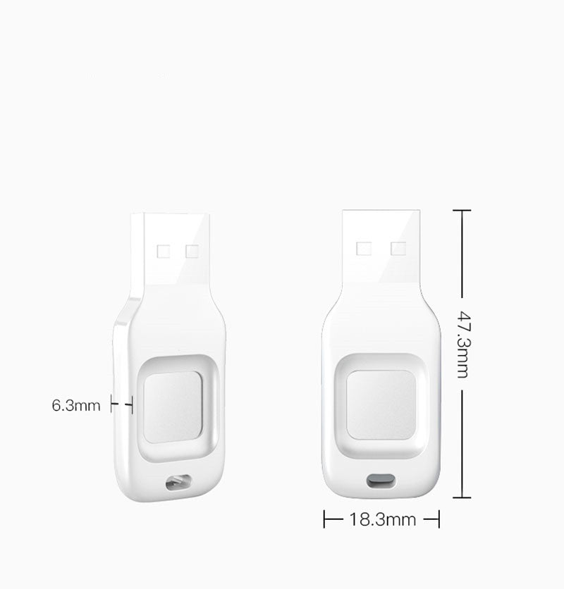 Fingerprint Input Into Encrypted U Disk