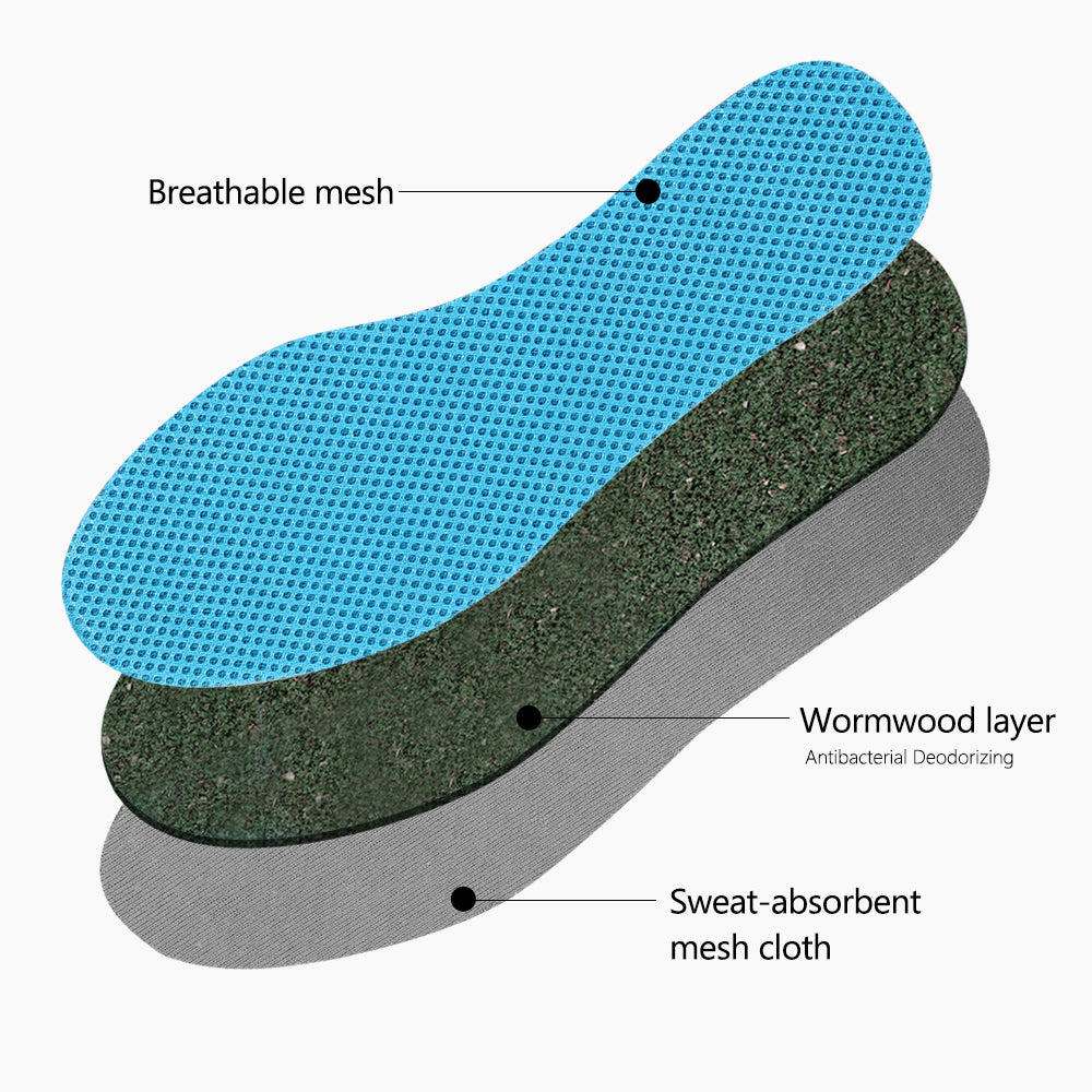 Wormwood deodorant insole