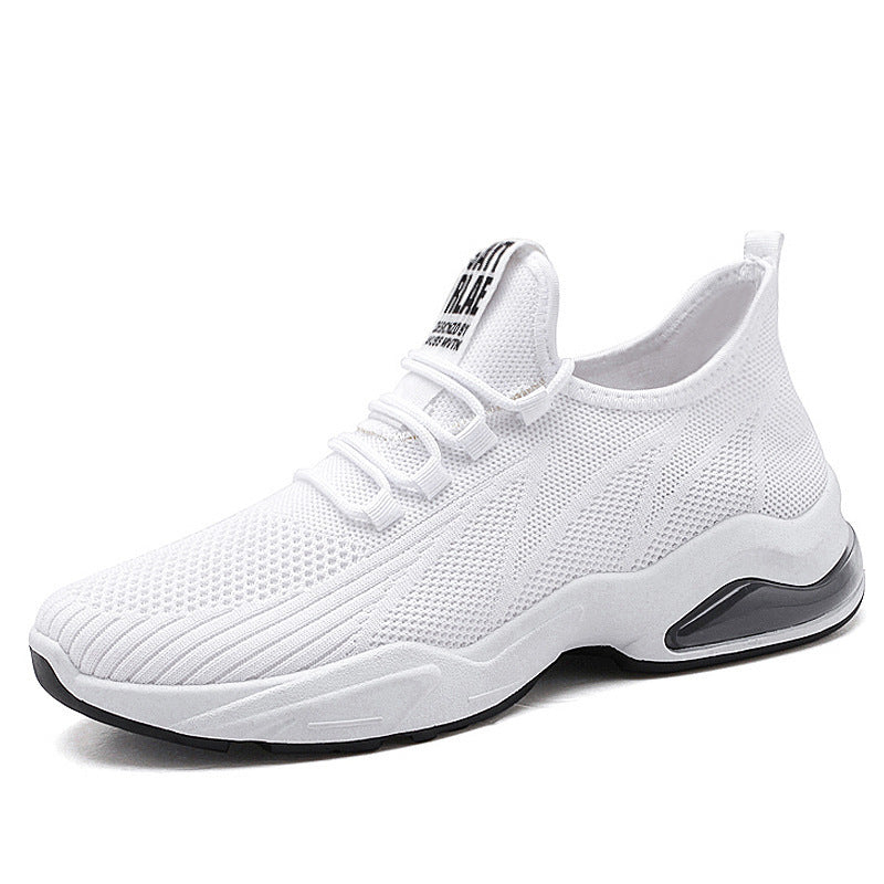 Spring And Autumn New Leisure Sports Single Net Shoes Male Students