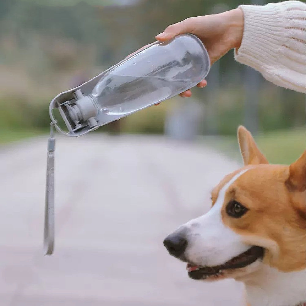 Portable Dog Water Bottle For Small Large Dogs Foldable Lightweight Drinking Bowl Outdoor Travel Walking Running Puppy Supplies